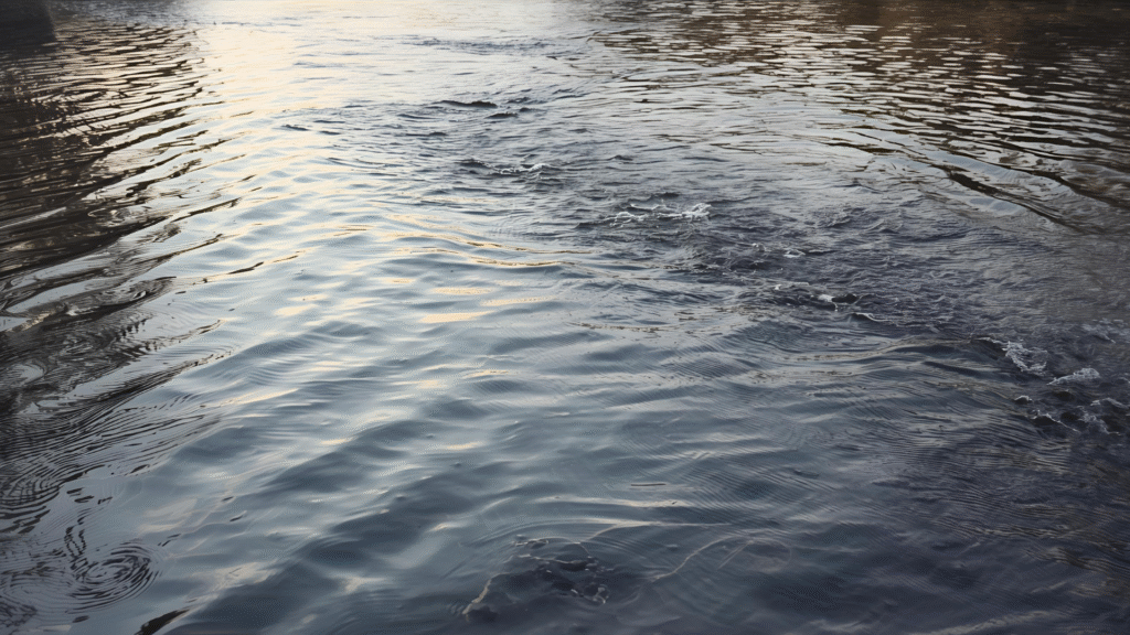 よく現れる7つの変化